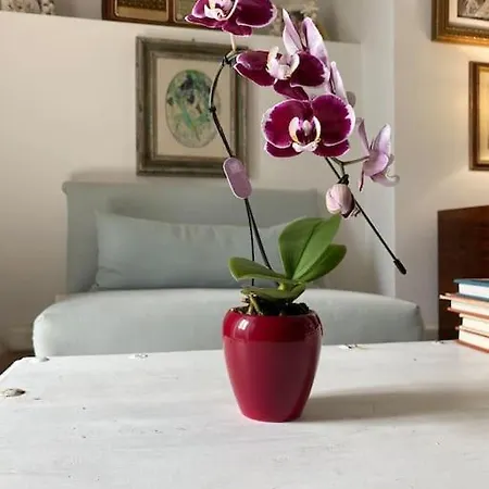 Depandance Sul Porto Apartment *
