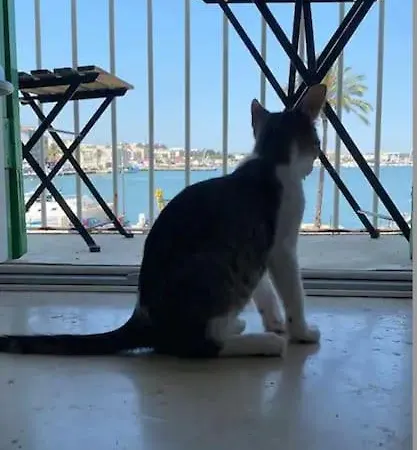 Apartamento Depandance Sul Porto